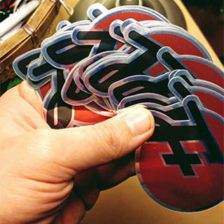 Shiny Logo