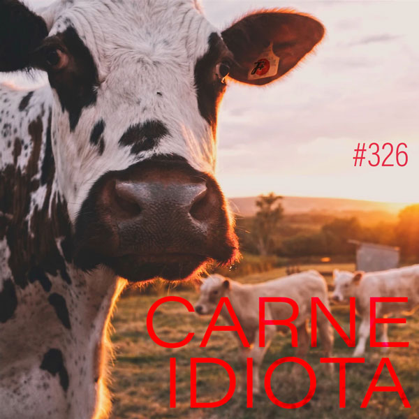 Carne Idiota