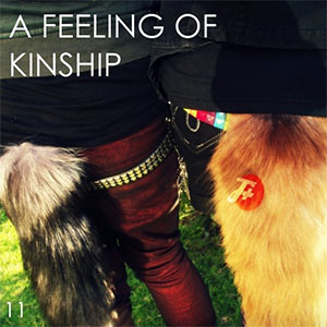 episode 11 : A Feeling of Kinship