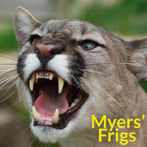 episode 232 : Myers' Frigs
