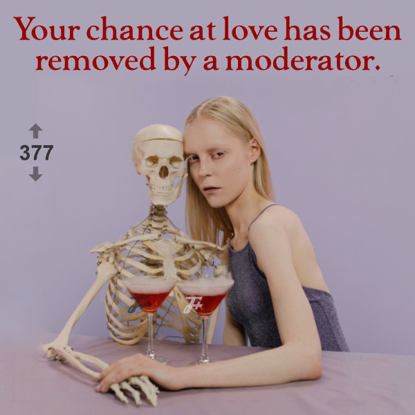 episode 377 : Your Chance At Love Has Been Removed By A Moderator