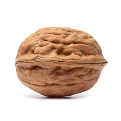 Digital Walnut