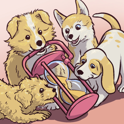 Puppy Time