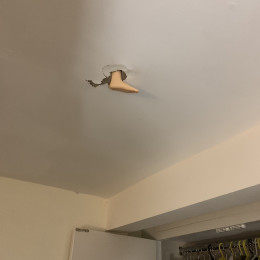 an F Plus foot toy in the ceiling