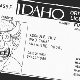 Pastafarian driver's license ~ art by Moxie Ramsey