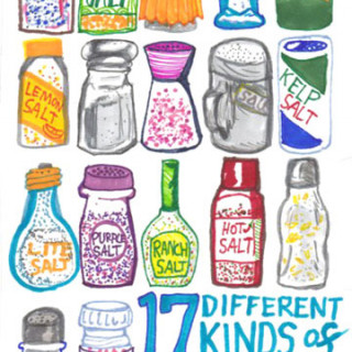 17 different kinds of salt ~ art by Adam Bozarth