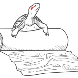 a terrapin and clingfilm ~ art by Beelzeboob
