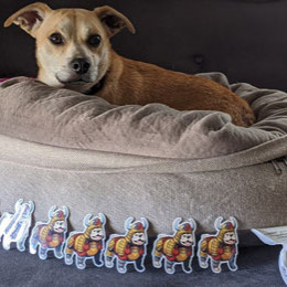 a line of samurai dog stickers protected a dog in a dog bed, who happens to be named Spark