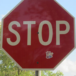Stop Foxie